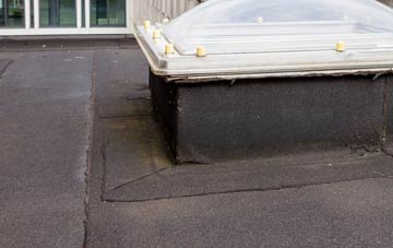 disadvantages of Newton With Scales flat roofs