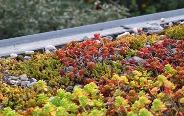 the cost of Newton With Scales green roof installation