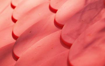 Newton With Scales plastic roof costs