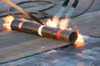 free Newton With Scales roof quotes